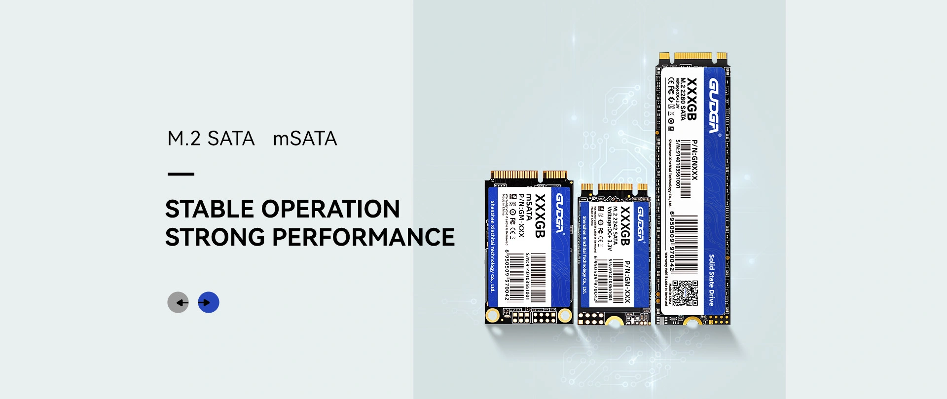 Pengilang Diskaun China M.2 SATA SSD