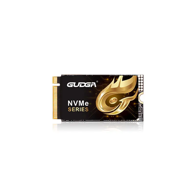 2242 Panjang PCIE 4.0 NVMe SSD 7000MB/s